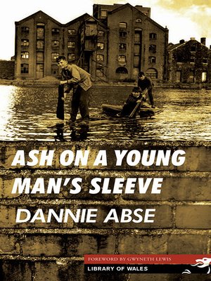 cover image of Ash On a Young Man's Sleeve